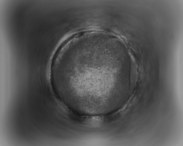 X0000096130056200802151322