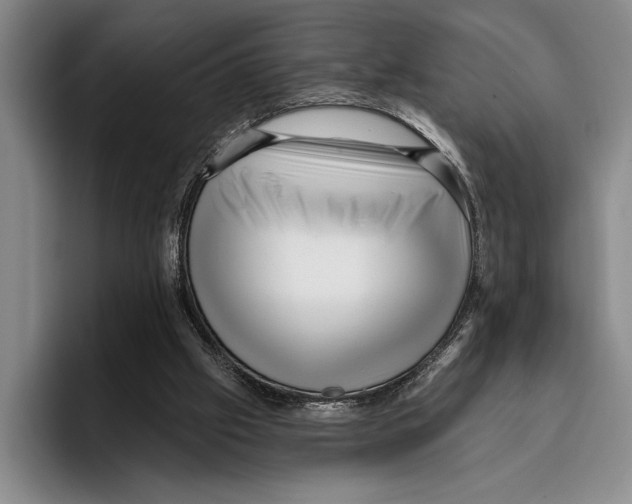 X0000096130057200802151322
