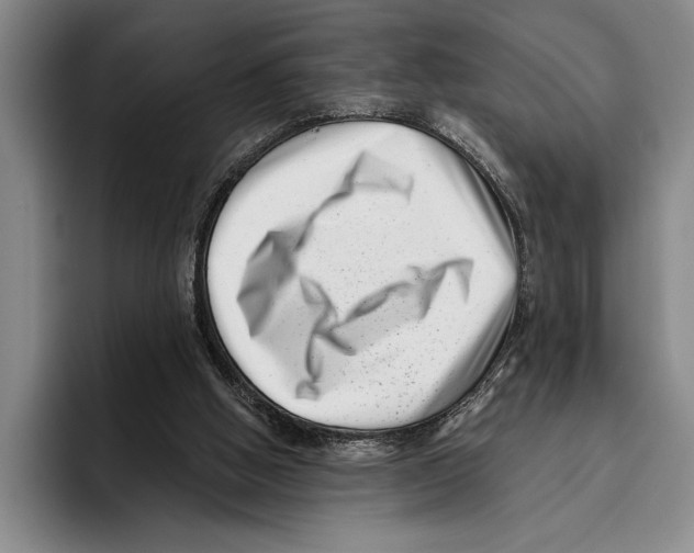 X0000096130058200802151322