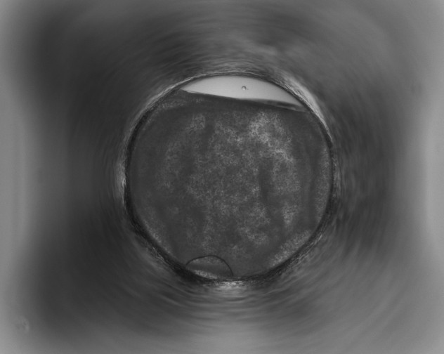X0000096130059200802151322