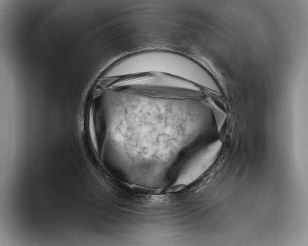 X0000096130060200802151322