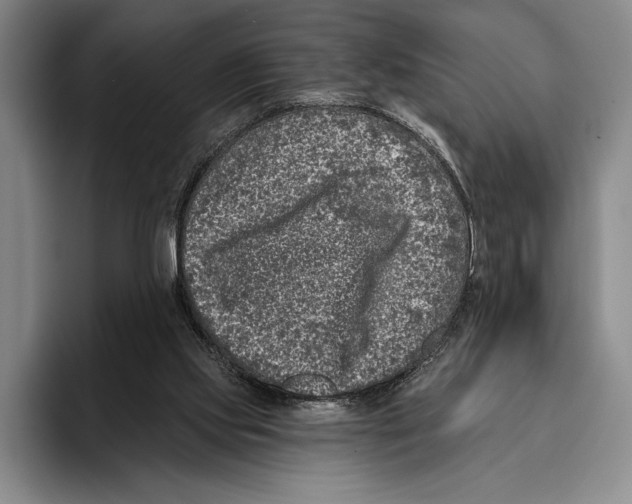 X0000096130061200802151322
