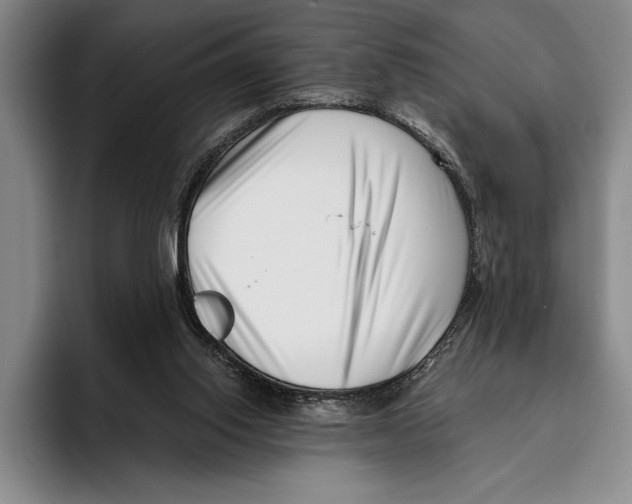 X0000096130062200802151322