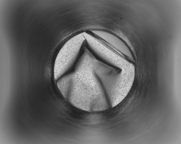 X0000096130063200802151322