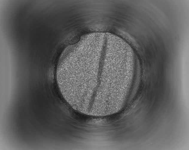 X0000096130065200802151322