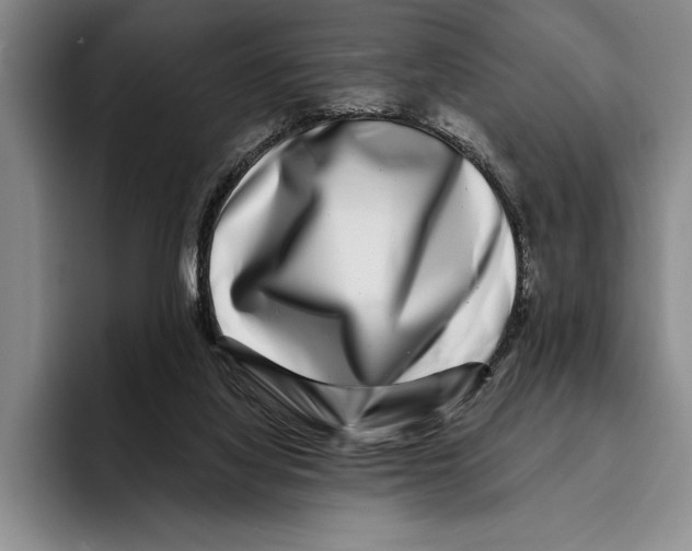 X0000096130068200802151322