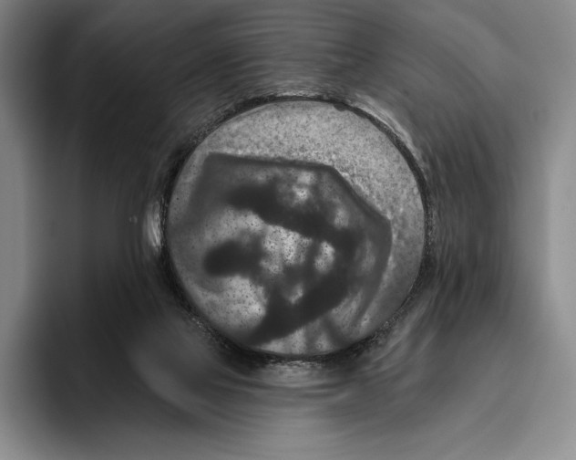 X0000096130069200802151322
