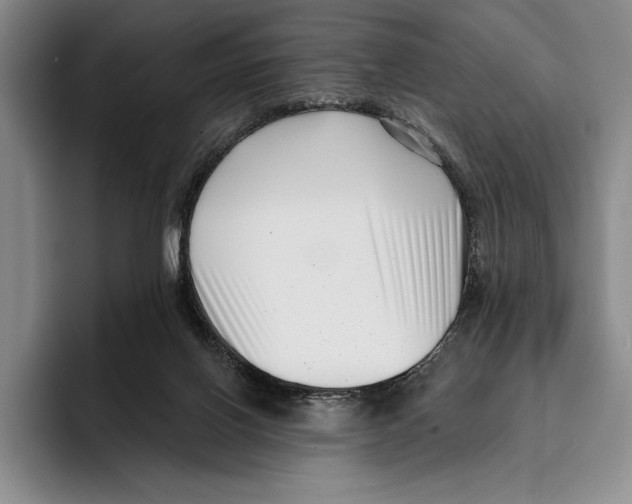 X0000096130070200802151322