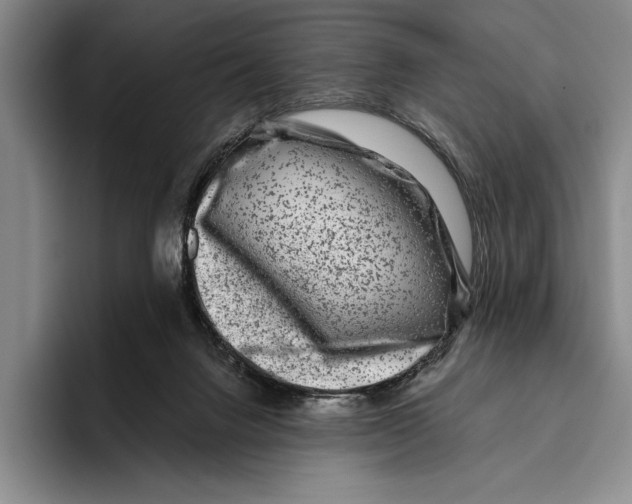 X0000096130072200802151322
