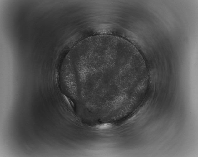 X0000096130073200802151322