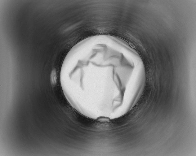 X0000096130075200802151322