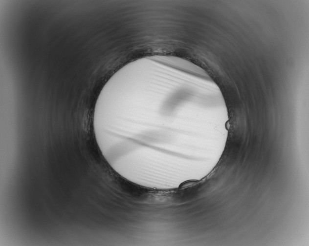 X0000096130078200802151322
