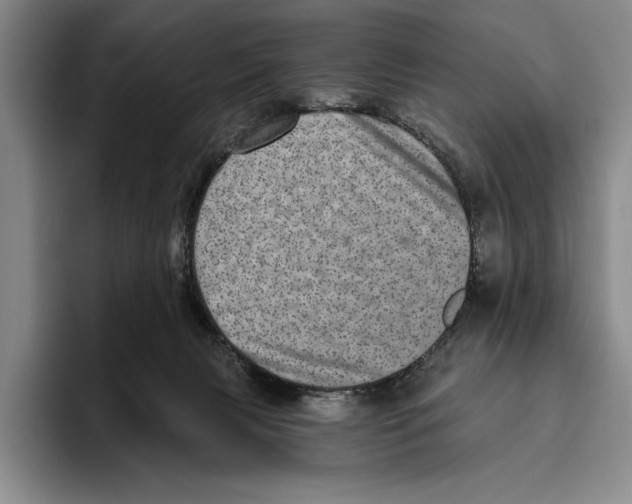 X0000096130079200802151322