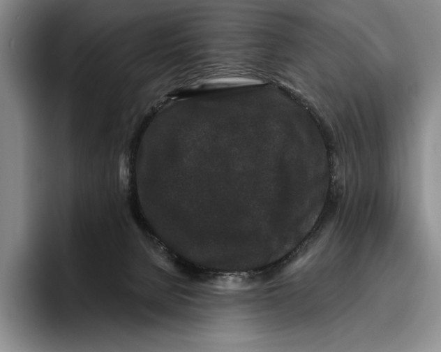 X0000096130080200802151322