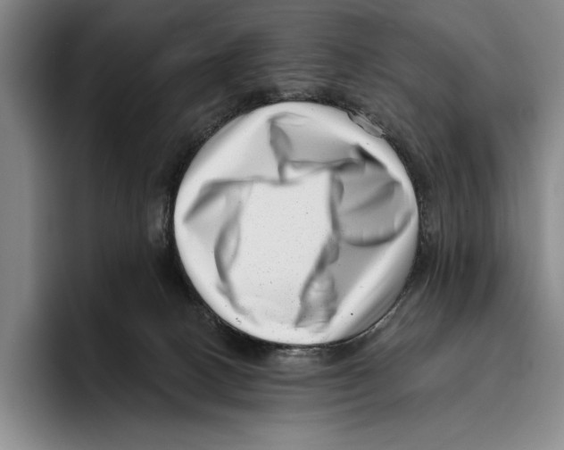 X0000096130082200802151322