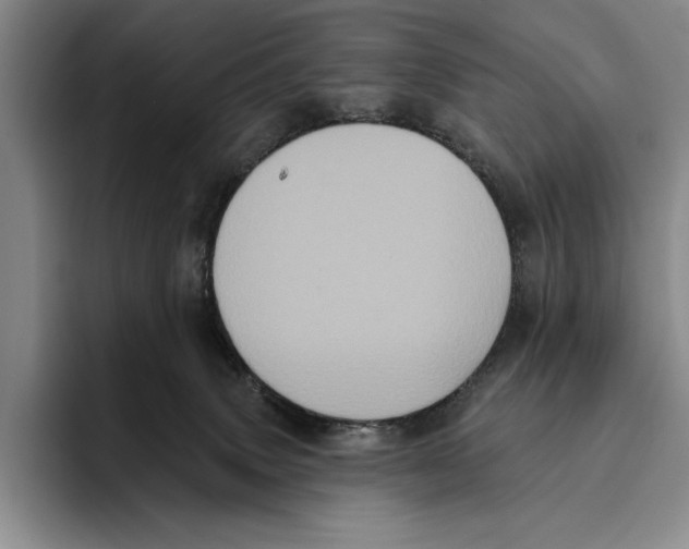 X0000096130083200802151322