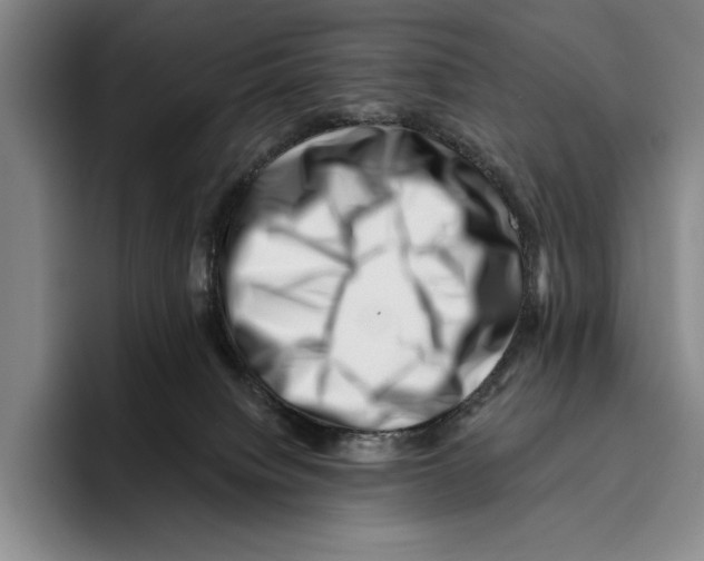 X0000096130084200802151322