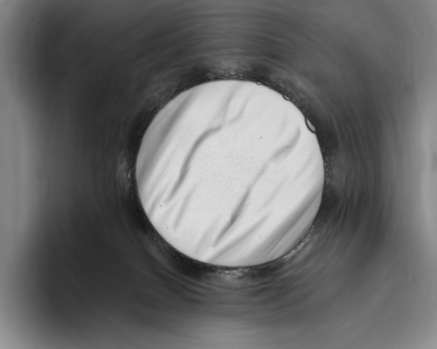 X0000096130086200802151322
