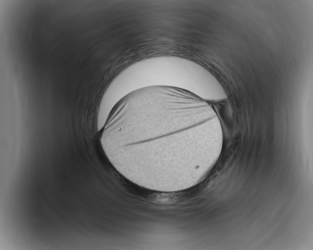 X0000096130088200802151322