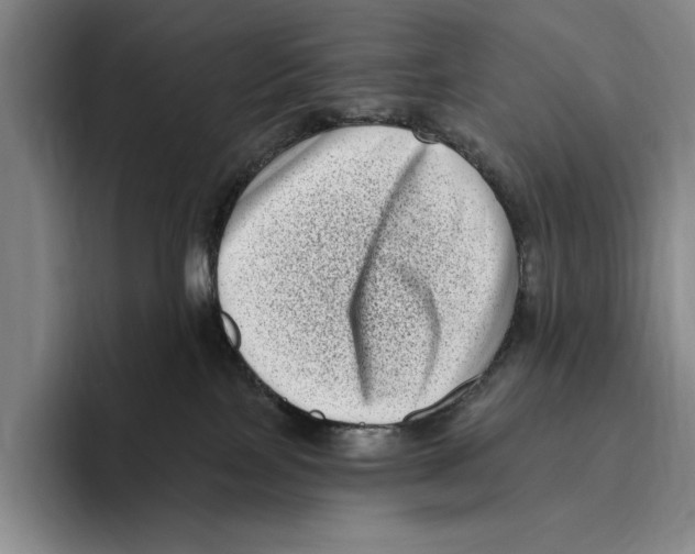 X0000096130089200802151322