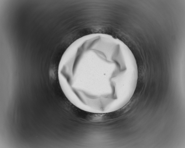 X0000096130090200802151322