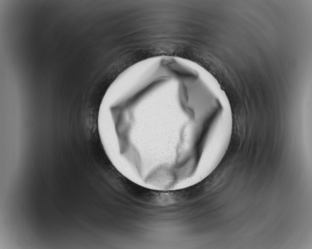 X0000096130091200802151322