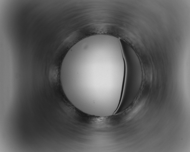 X0000096130092200802151322