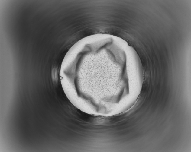 X0000096130094200802151322