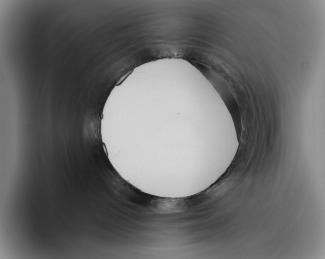 X0000096130096200802151323