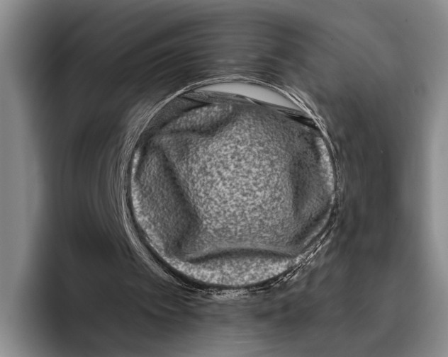 X0000096130097200802151322