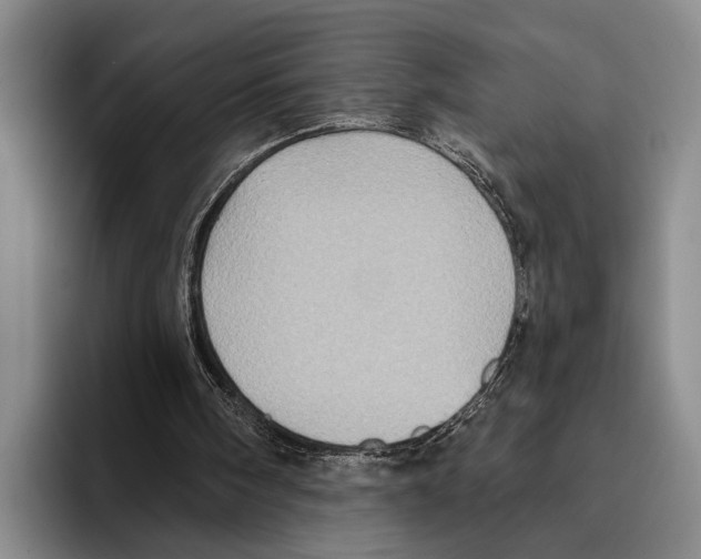 X0000096130098200802151322