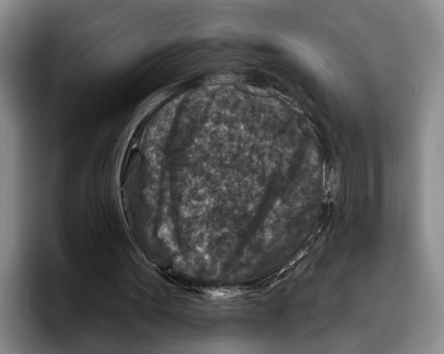 X0000096130099200802151322