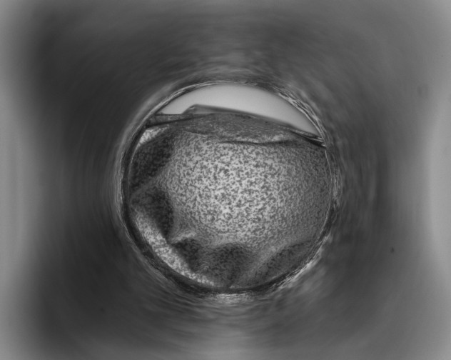 X0000096130101200802151322