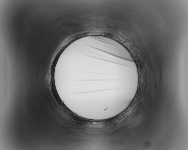 X0000096130102200802151322