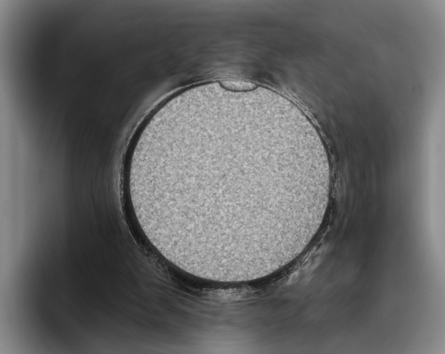 X0000096130103200802151322