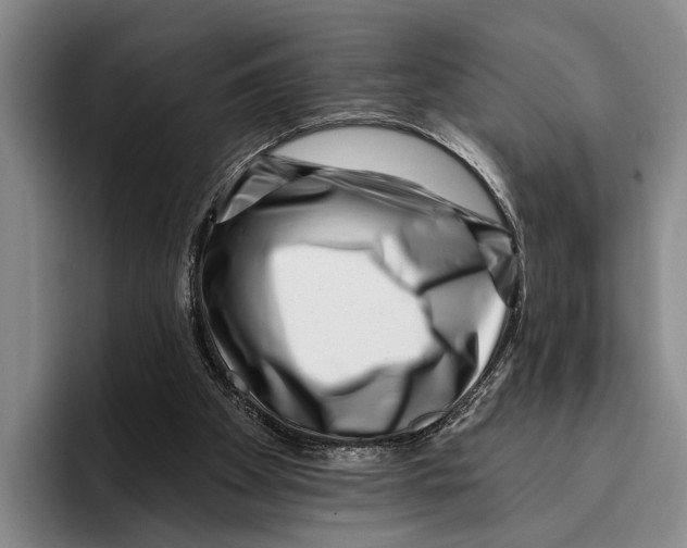 X0000096130105200802151322