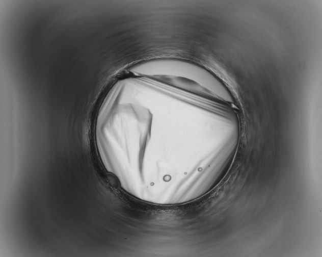 X0000096130107200802151322