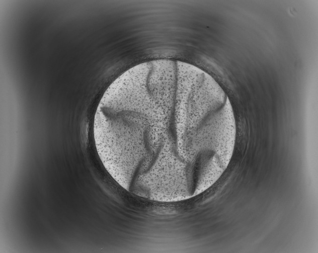X0000096130110200802151322