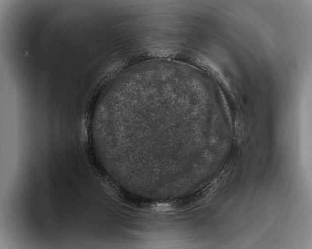X0000096130114200802151322