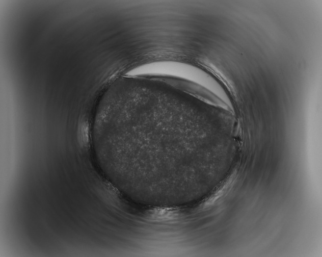 X0000096130117200802151322