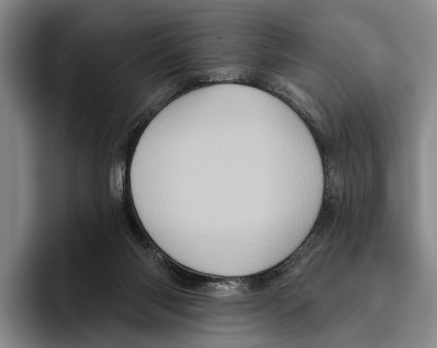 X0000096130118200802151322