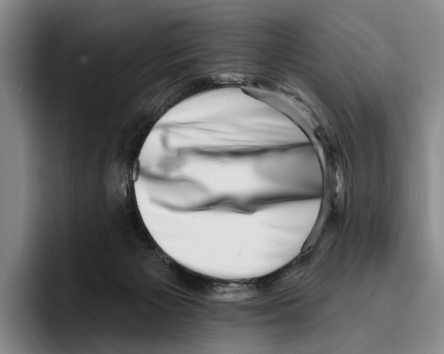 X0000096130125200802151322