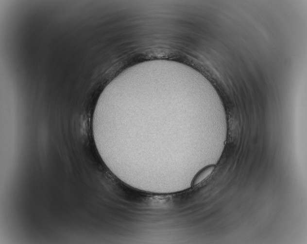 X0000096130126200802151322