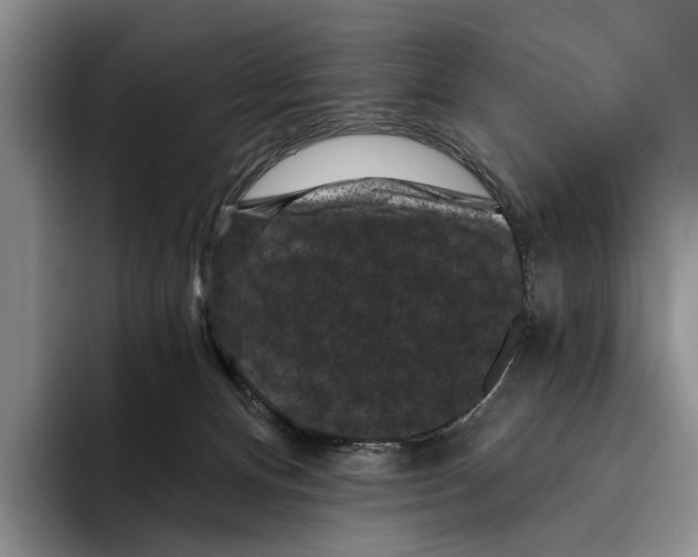 X0000096130128200802151321