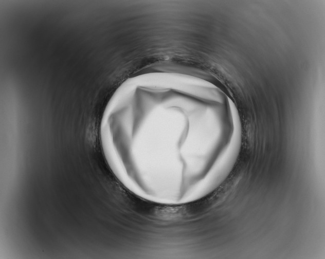 X0000096130129200802151321