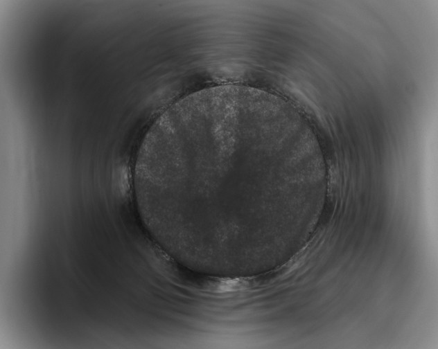 X0000096130130200802151321