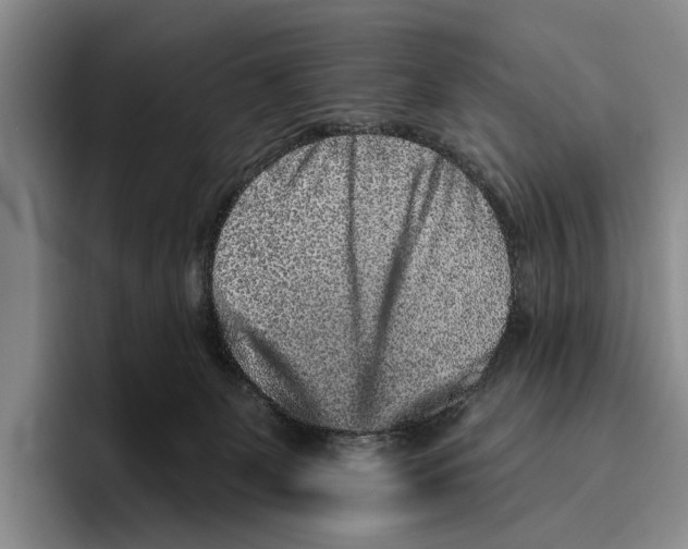 X0000096130131200802151321