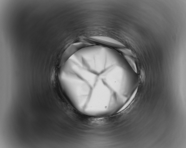 X0000096130132200802151321