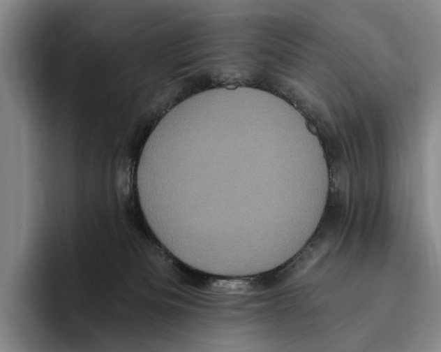 X0000096130133200802151321