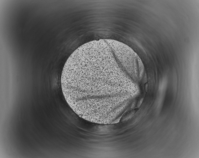 X0000096130134200802151321